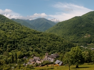environs